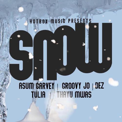 Snow (feat. Groovy Jo, Asum Garvey, TULIA, Thayu Mwas & DEZ) cover art