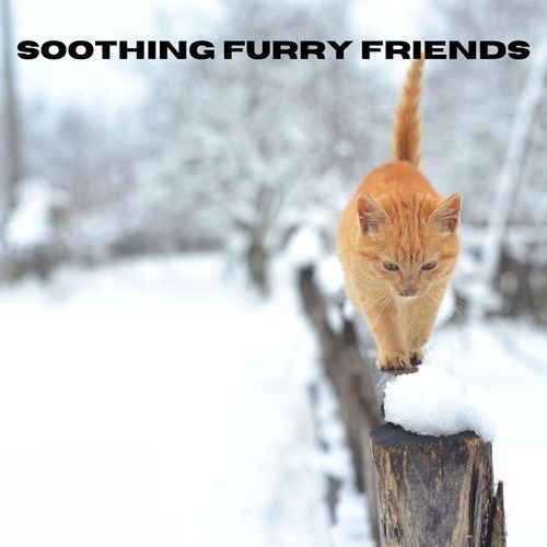 Soothing Furry Friends_poster_image