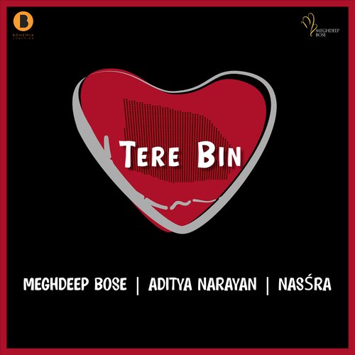 Tere Bin