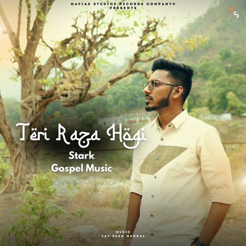 Teri Raza Hogi