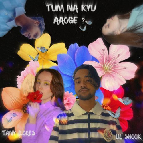 Tum Na Kyu Aaoge?