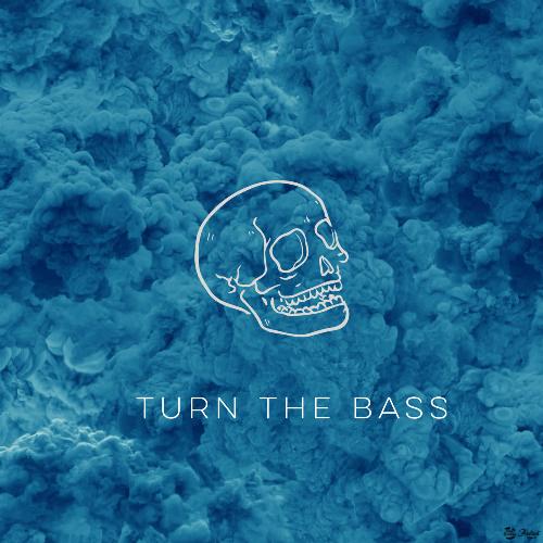 Turn The Bass