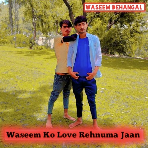 Waseem Ko Love Rehnuma Jaan