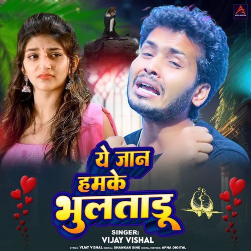 Ye Jan Hamke Bhultaru