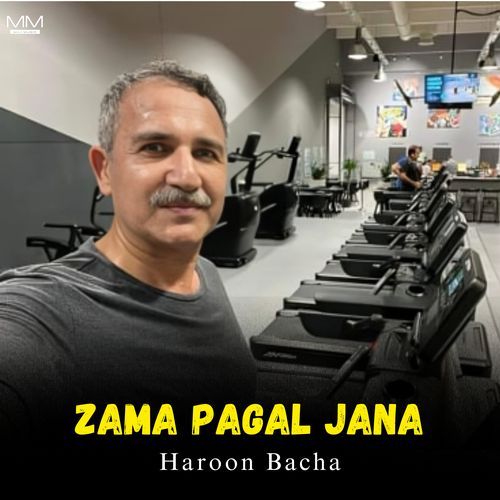 Zama Pagal Jana