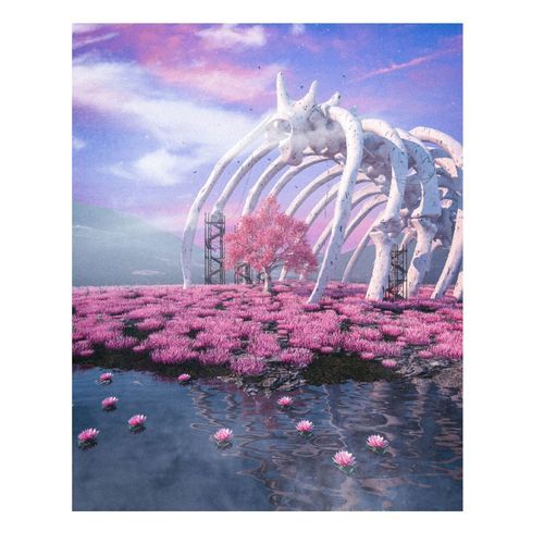 Sufi cover art