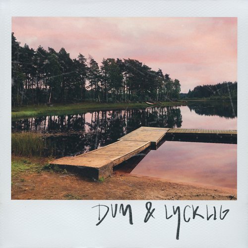 dum & lycklig cover art