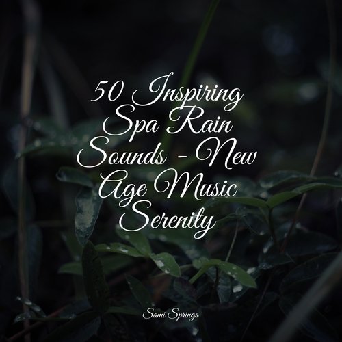 50 Inspiring Spa Rain Sounds - New Age Music Serenity_poster_image