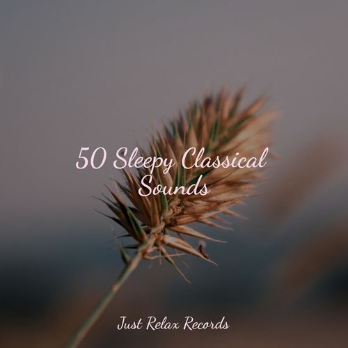 50 Sleepy Classical Sounds