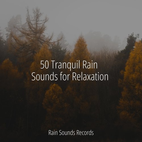 50 Tranquil Rain Sounds for Relaxation