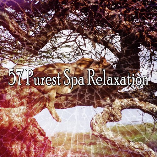 57 Purest Spa Relaxation_poster_image