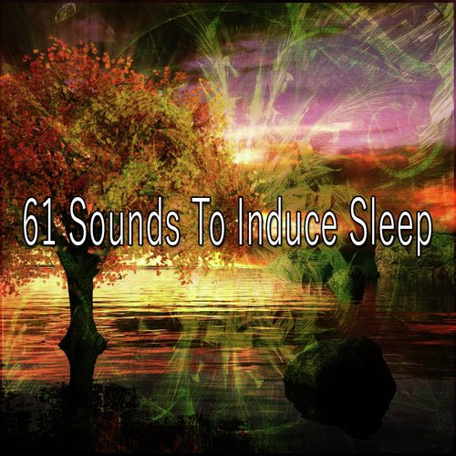 61 Sounds to Induce Sle - EP