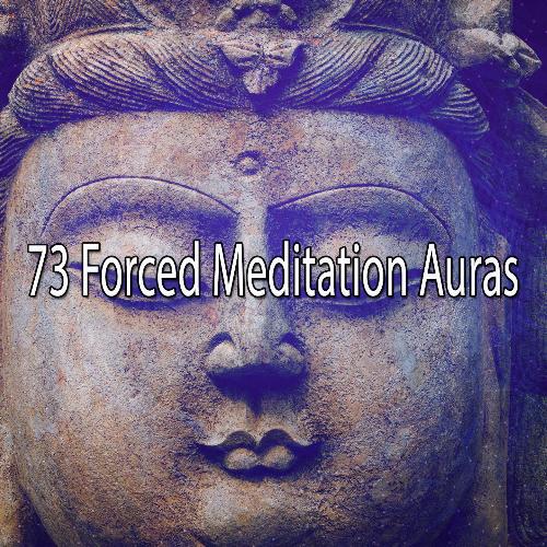 73 Forced Meditation Auras