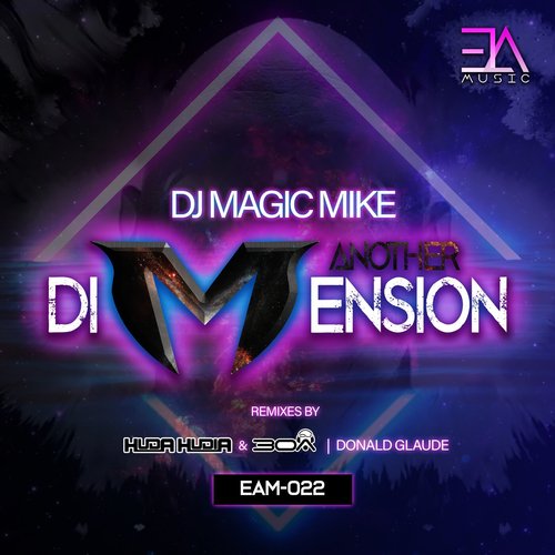 Another Dimension (Remixes)