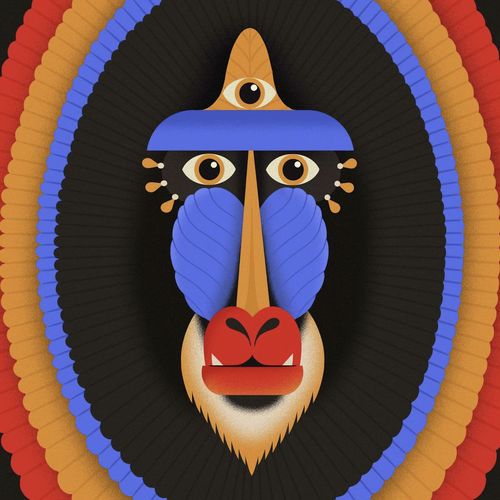 Fernandes cover art