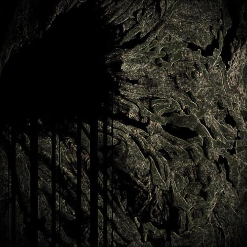 Benthic cover art