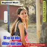 Dil na kai leba dikhav mari janu