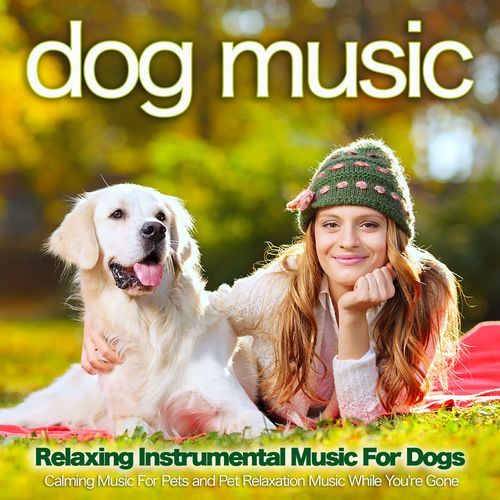Peaceful Music for My Dog
