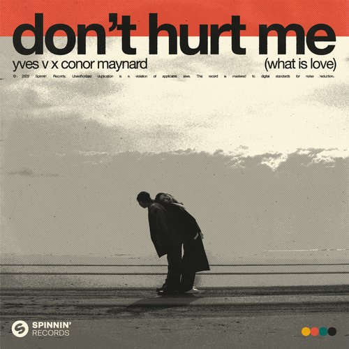 Don&#039;t Hurt Me (What Is Love)_poster_image