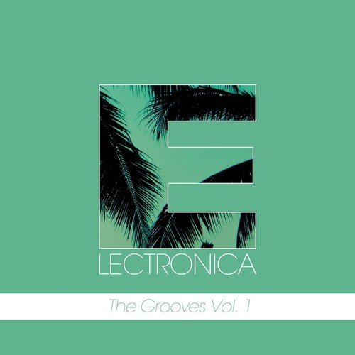 Electronica - The Grooves, Vol. 1