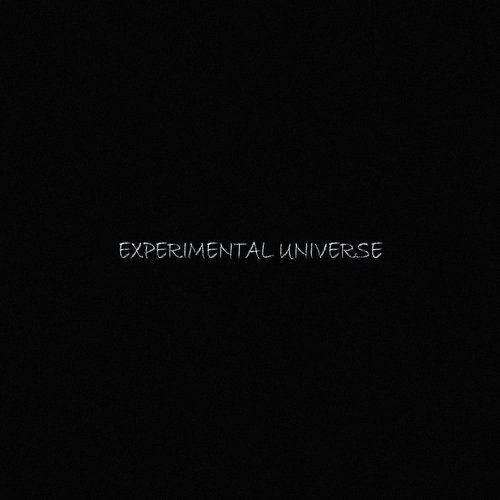 Experimental Universe_poster_image