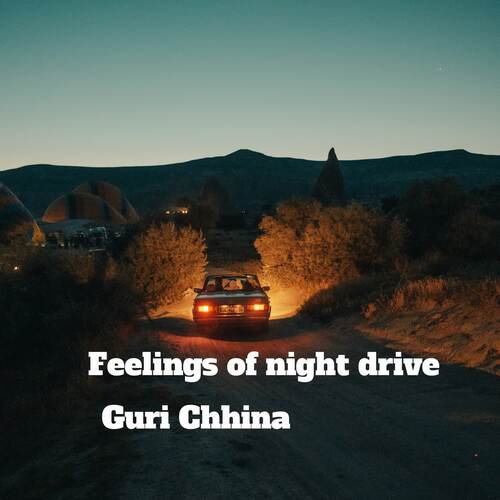 Feelings of night drive