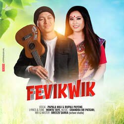 Fevikwik-HVEyaUNdVmo