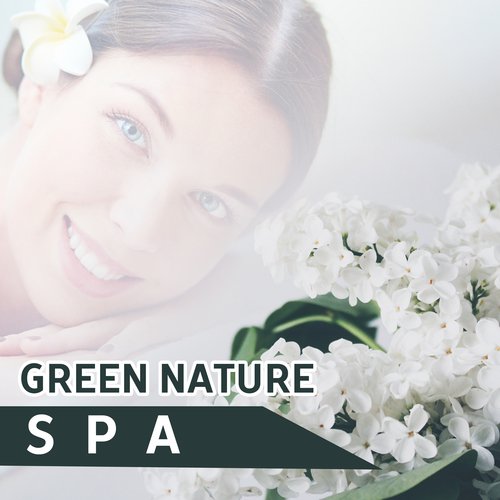 Pure Spa cover art