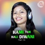 Hami Tor Hali Diwani