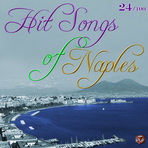 Hit Songs of Naples, Vol. 24