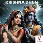Krishna Dhun