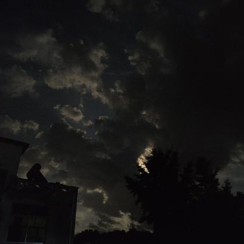 止于夏日的故事