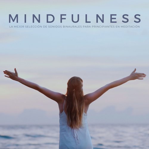Momentos De Paz cover art
