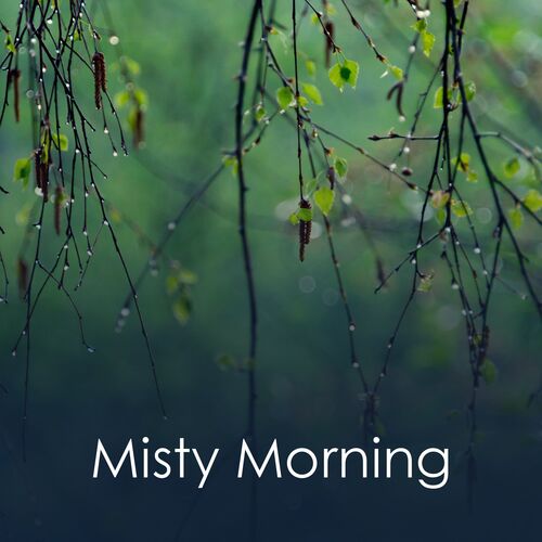 Misty Morning_poster_image