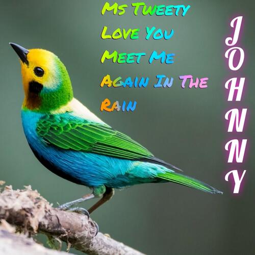 Ms Tweety Love You Meet Me Again in the Rain cover art