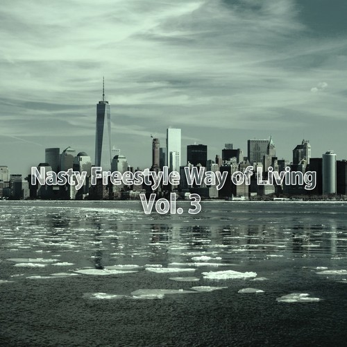 Crazy Beat Shaker cover art