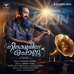 Neelakuyile Chollu