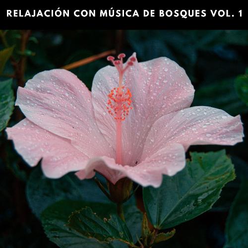 Sonidos De Noche cover art