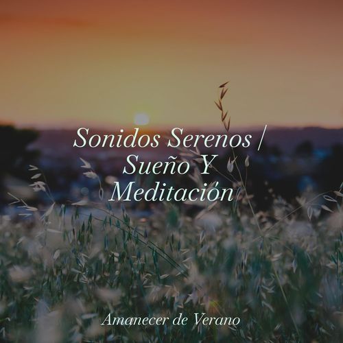 Sonidos Serenos | Sueño Y Meditación
