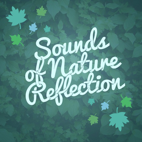 Sounds of Nature: Reflection