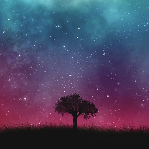 Surah Baqarah cover art