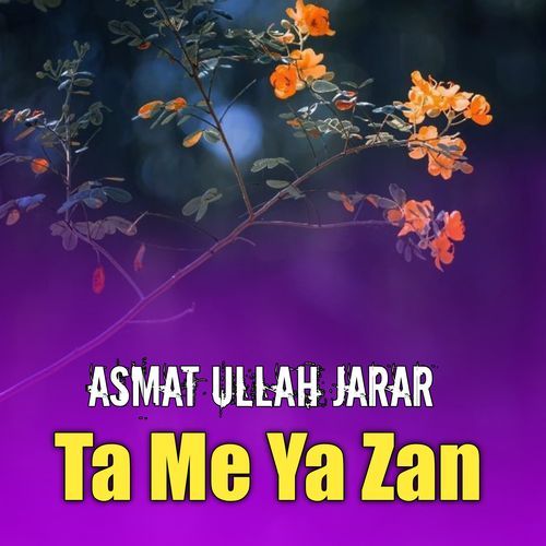 Ta Me Ya Zan