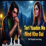 Teri Yaadon Me Nid Kho Gai