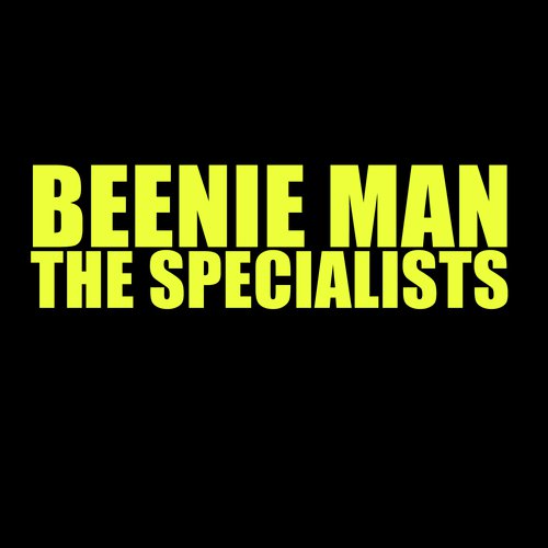 The Specialists (Radio Edit; Feat. Vybz Kartel) cover art