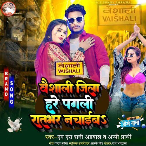 Vaishali Jila H Re Pagli Ratbhar Nachaib