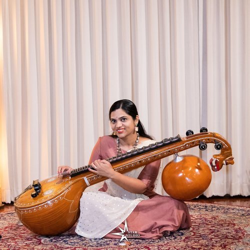 Veena Instrumental Playlist_poster_image