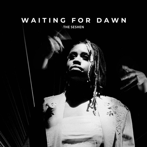 Waiting for Dawn_poster_image