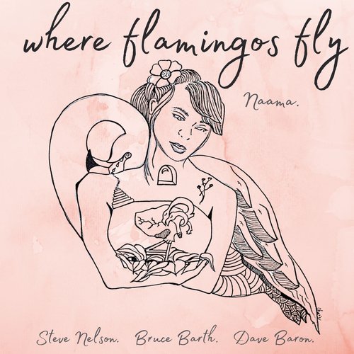 Where Flamingos Fly_poster_image