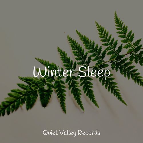 Winter Sleep