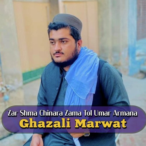 Zar Shma Chinara Zama Tol Umar Armana